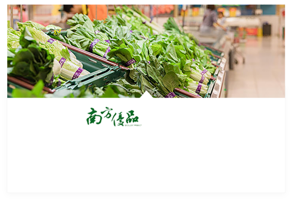 案例